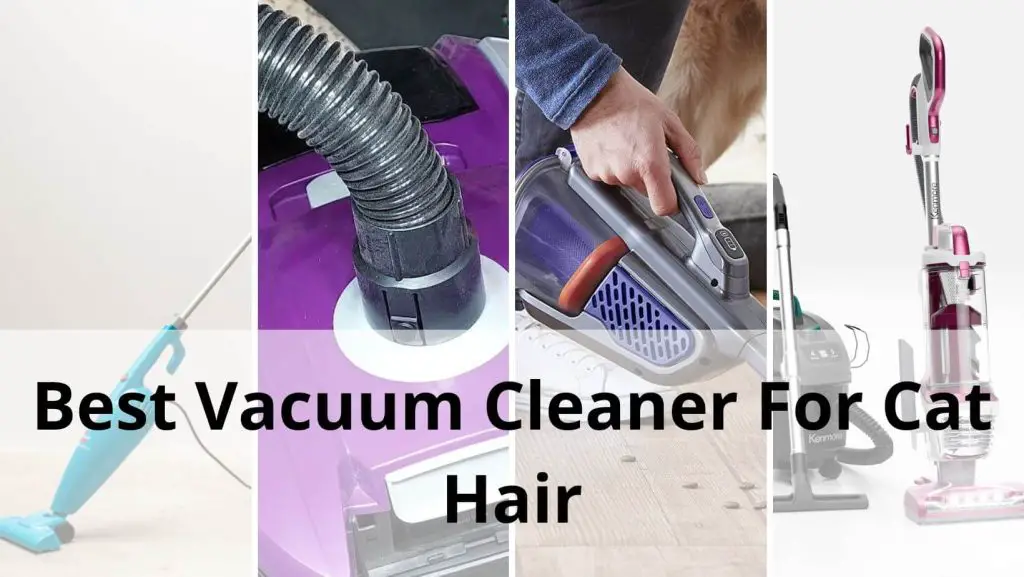 Best Vacuum Cleaner For Cat Hair